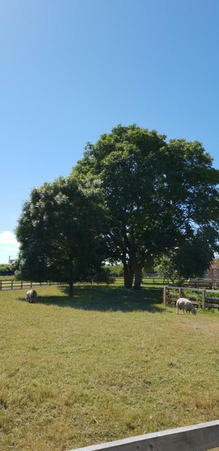 The Piglets Villa York Exterior photo